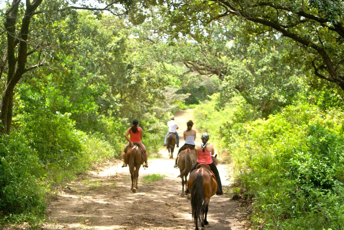 Vida Aventura Ranch Hotel Tanques Eksteriør billede